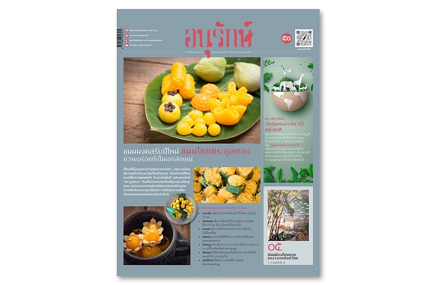 อนุรักษ์แท็บลอยด์ ฉบับที่ 50 ธันวาคม 2564