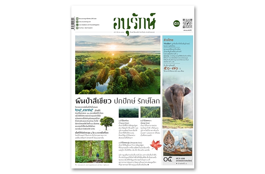 อนุรักษ์แท็บลอยด์ ฉบับที่ 53 มีนาคม 2565