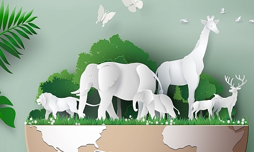 วันคุ้มครองสัตว์ป่าแห่งชาติ