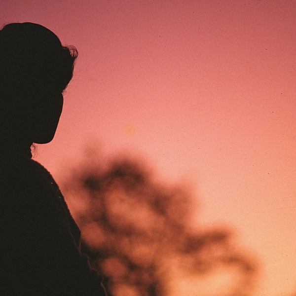 พระบารมีคงคู่ฟ้า