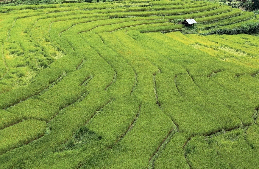 สุขที่แท้ “แม่ลาน้อย”