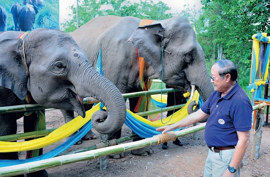 มูลนิธิช้าง อีกหนึ่งหน่วยงานเพื่ออนุรักษ์ช้าง-และป่า