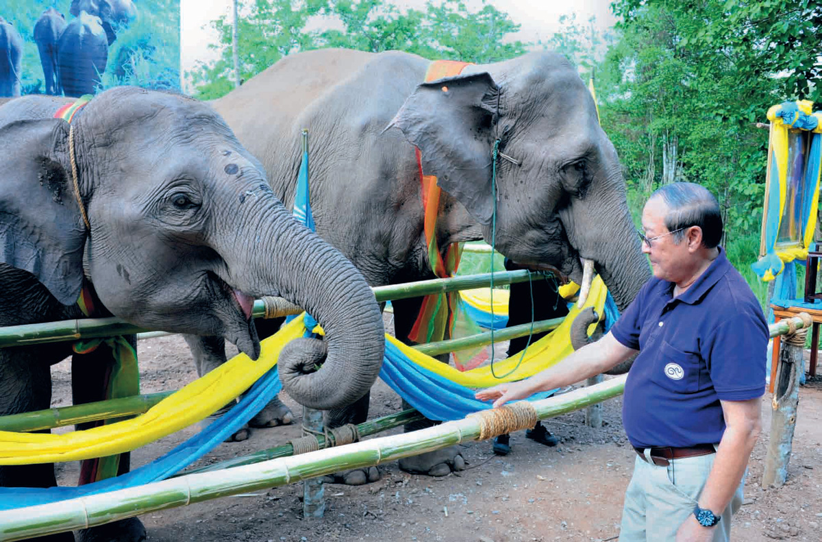 มูลนิธิช้าง อีกหนึ่งหน่วยงานเพื่ออนุรักษ์ช้าง-และป่า