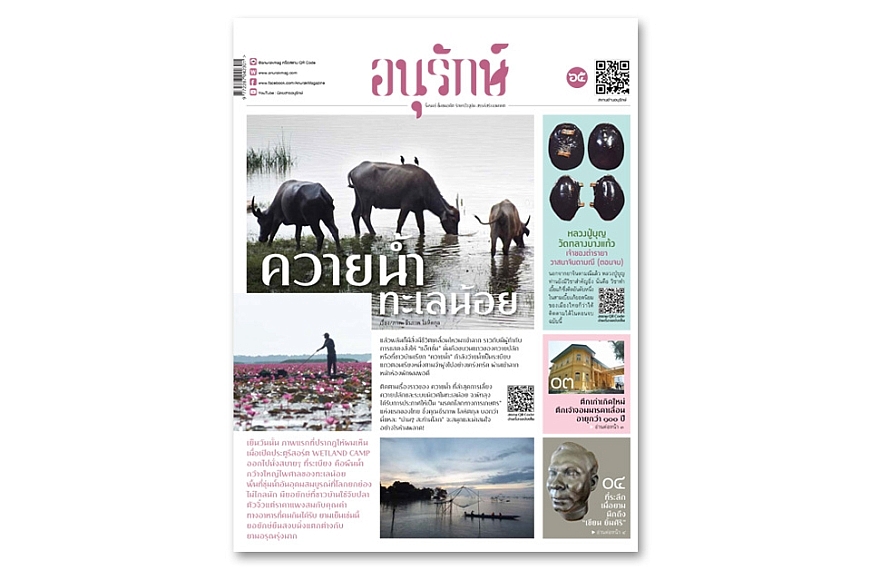 อนุรักษ์แท็บลอยด์ ฉบับที่ 65 มีนาคม 2566