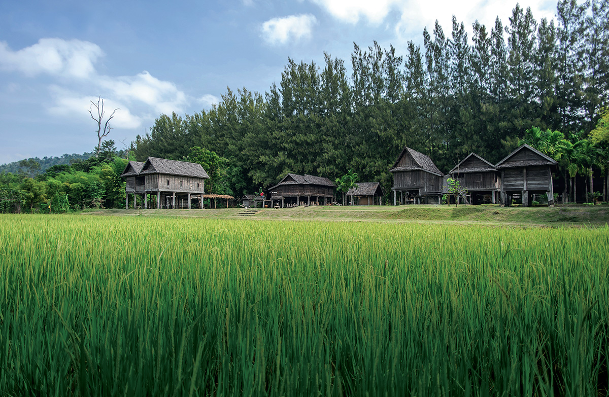 หมู่บ้านอีสาน ความรู้ที่ปลูกผ่าน สถาปัตยกรรม