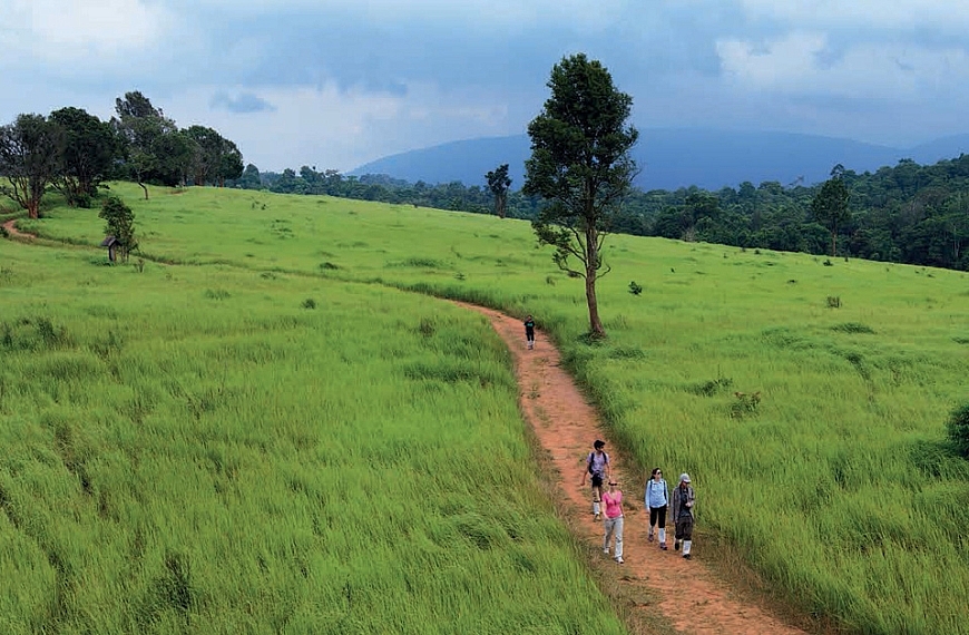 เขาใหญ่ ในความทรงจำ