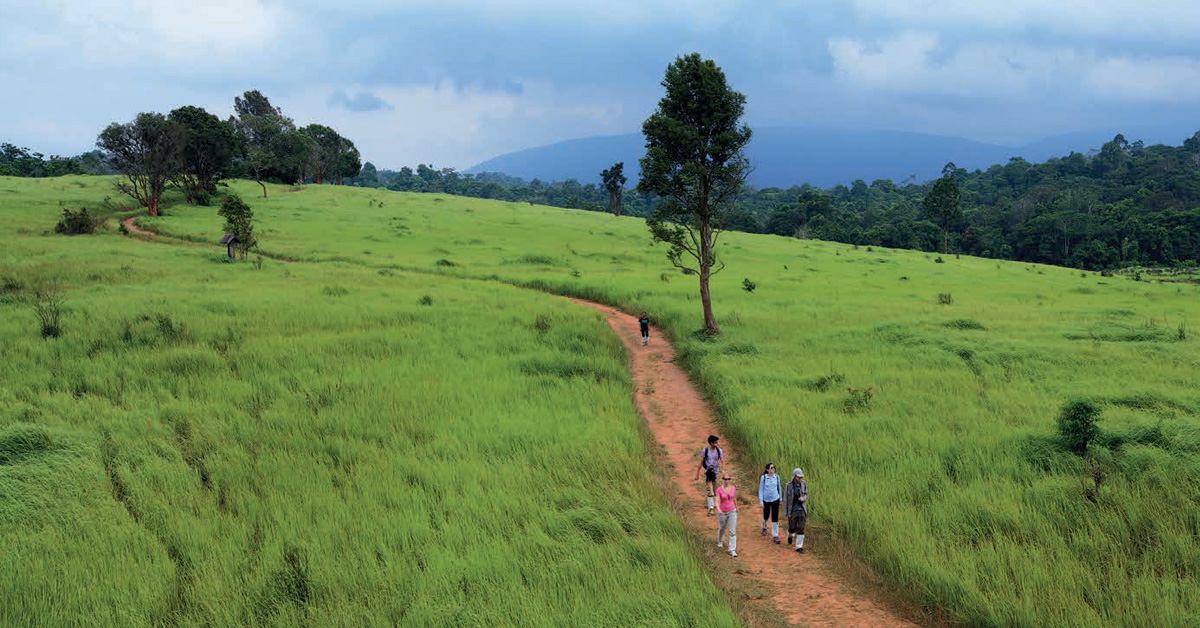 เขาใหญ่ ในความทรงจำ