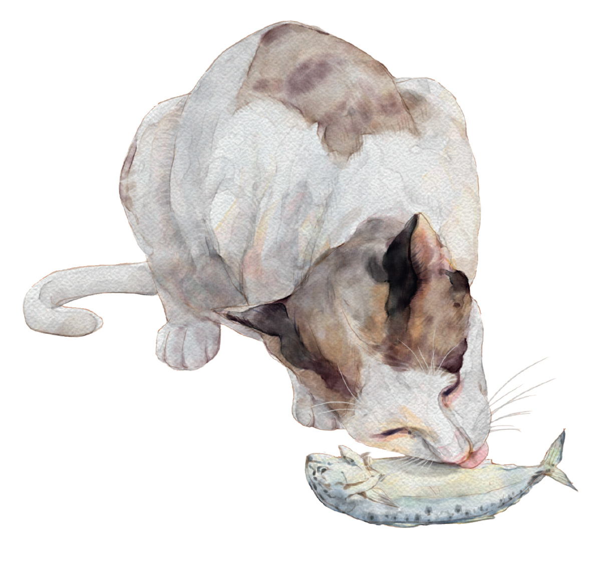 แมวเอ๋ย แมวเหมียว