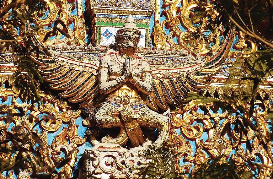 งามสง่าพญาครุฑ พญาแห่งนก