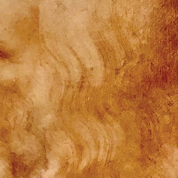 อัจฉริยภาพ และชีวิตนิรันดร์บนภาพลายเส้นของ DAVINCI