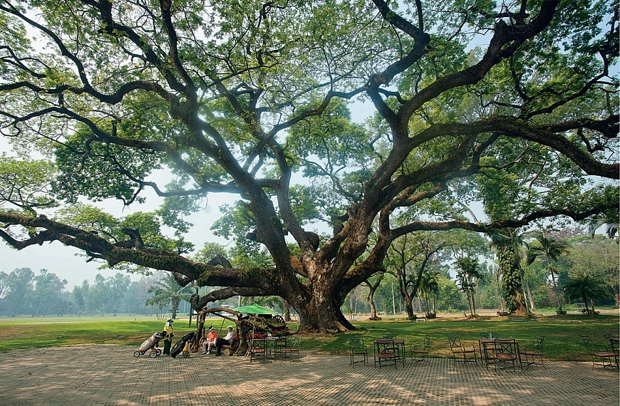 ๒ ร้านอาหารสุดเก๋าในเชียงใหม่ สไตล์ อนุรักษ์