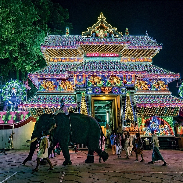 อินเดียใต้ อลังการงานช้าง