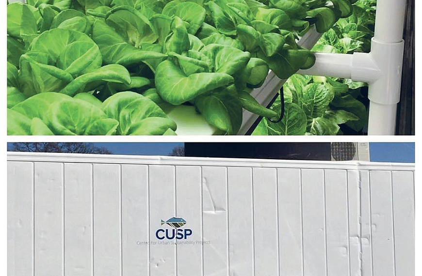 ฟาร์มตู้เทรนด์ เกษตรกรรมแห่งอนาคต