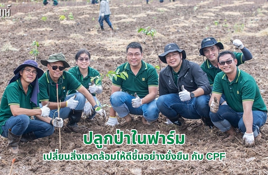 ปลูกป่าในฟาร์ม เปลี่ยนสิ่งแวดล้อมให้ดีขึ้นอย่างยั่งยืน กับ CPF