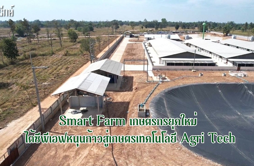 Smart Farm เกษตรกรยุคใหม่ ได้ซีพีเอฟหนุนก้าวสู่เกษตรเทคโนโลยี Agri Tech