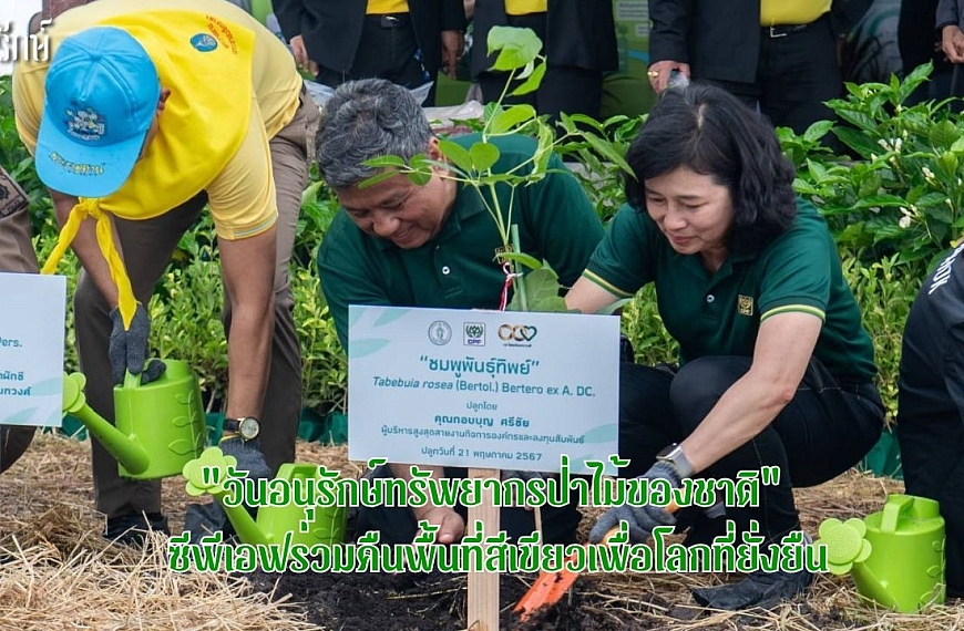 “วันอนุรักษ์ทรัพยากรป่าไม้ของชาติ” ร่วมคืนพื้นที่สีเขียวเพื่อโลกที่ยั่งยืน