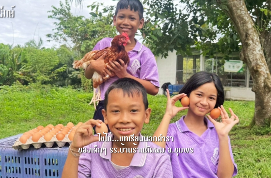 “ไข่ไก่…บทเรียนนอกตำราของเด็กๆ รร.บ้านร้านตัดผม จ.ชุมพร”