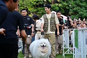 JerHigh จัดงาน “ใจฟูDAY2” สร้างความสุขเพื่อคนรักสุนัข