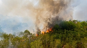 ทำไมคนเชียงใหม่ต้องเจอฝุ่นซ้ำทุกปี? เจาะลึกต้นเหตุที่มากกว่าหนึ่งด้าน