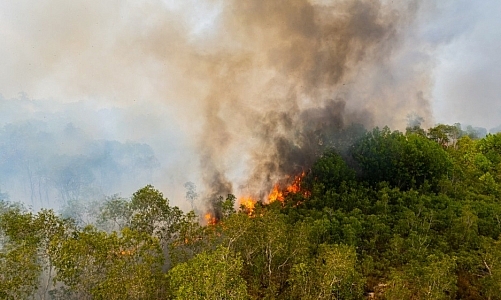 ทำไมคนเชียงใหม่ต้องเจอฝุ่นซ้ำทุกปี? เจาะลึกต้นเหตุที่มากกว่าหนึ่งด้าน